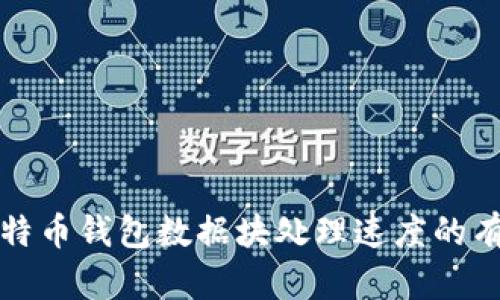 提升比特币钱包数据块处理速度的有效方法