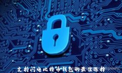 支持闪电比特币钱包的最