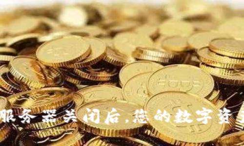 Tokenim 2.0服务器关闭后，您的数字资产该如何处理？
