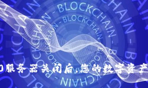 Tokenim 2.0服务器关闭后，您的数字资产该如何处理？