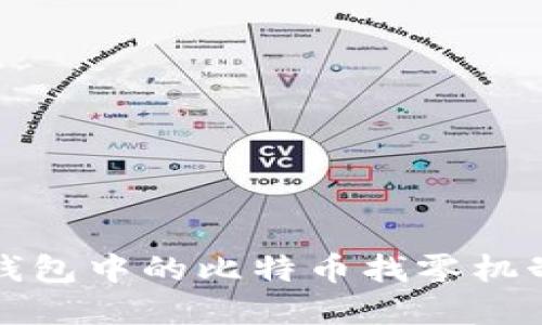 深入了解Coin钱包中的比特币找零机制及其暗含意义