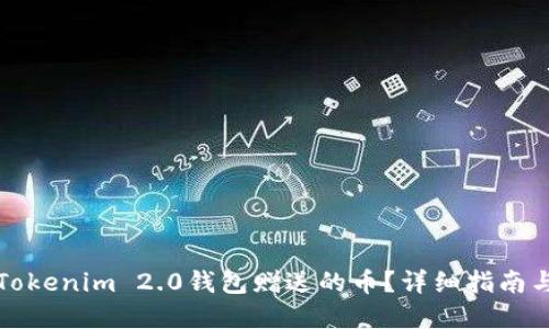 如何找回Tokenim 2.0钱包赠送的币？详细指南与解决方案