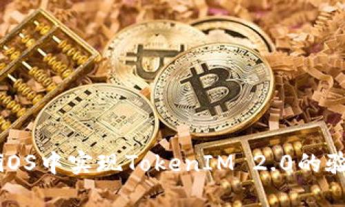如何在iOS中实现TokenIM 2.0的验证流程