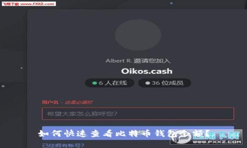 如何快速查看比特币钱包余额？
