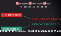 如何在中国下载Tokenim 2.