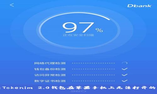 解决Tokenim 2.0钱包在苹果手机上无法打开的问题