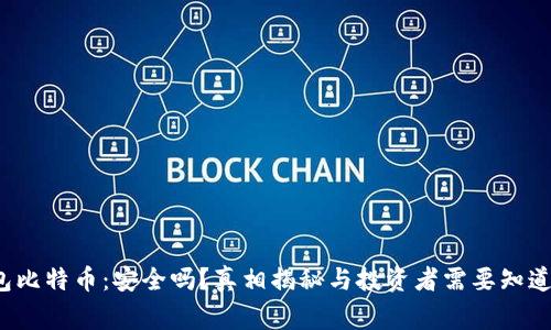  冷钱包比特币：安全吗？真相揭秘与投资者需要知道的事项