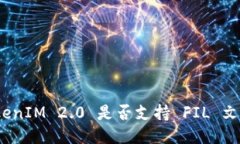 TokenIM 2.0 是否支持 FIL 文件？