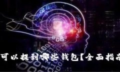 SHIB币可以提到哪些钱包？全面指南与推荐