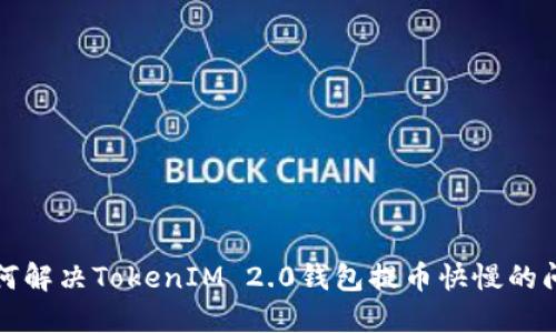 如何解决TokenIM 2.0钱包提币快慢的问题