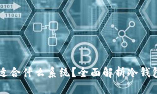 比特币冷钱包适合什么系统？全面解析冷钱包的选择与使用