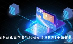 为什么中国手机无法下载