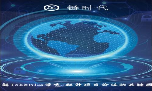 了解Tokenim带宽：提升项目价值的关键因素