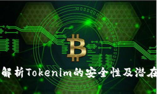 深入解析Tokenim的安全性及潜在漏洞