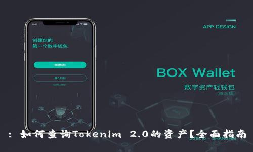 : 如何查询Tokenim 2.0的资产？全面指南