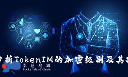 全面分析TokenIM的加密级别及其安全性