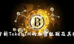 全面分析TokenIM的加密级别