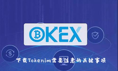  下载Tokenim需要注意的关键事项