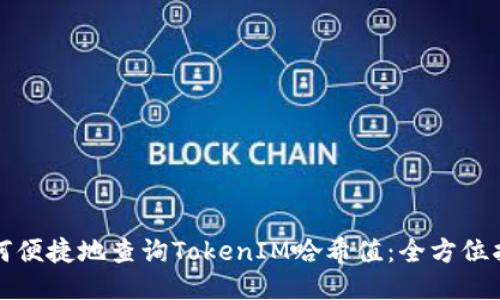 如何便捷地查询TokenIM哈希值：全方位指南