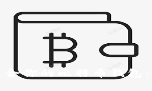 : 选择适合你的比特币钱包：新手指南