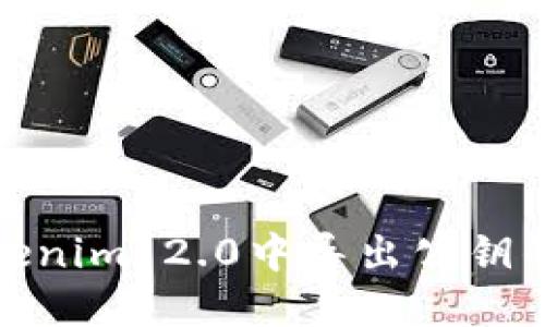 如何在Tokenim 2.0中导出公钥的详细步骤