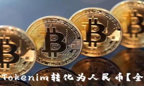   
如何将Tokenim转化为人民币？全面指南