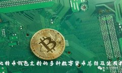 : 比特币钱包支持的多种数