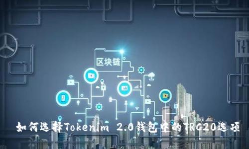  如何选择Tokenim 2.0钱包中的TRC20选项