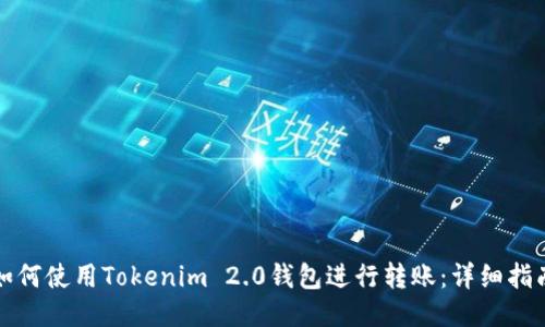 如何使用Tokenim 2.0钱包进行转账：详细指南