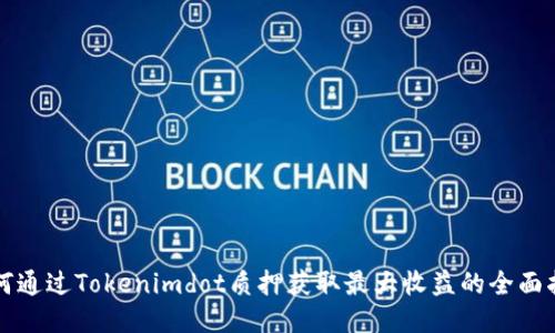 如何通过Tokenimdot质押获取最大收益的全面指南