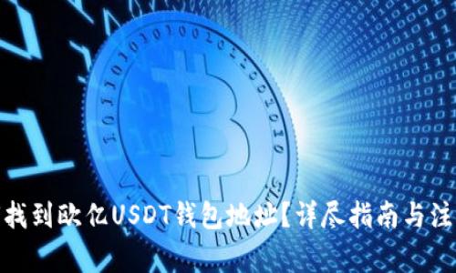 : 如何找到欧亿USDT钱包地址？详尽指南与注意事项