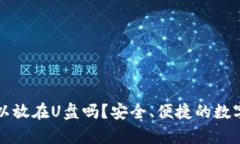 比特币钱包可以放在U盘吗
