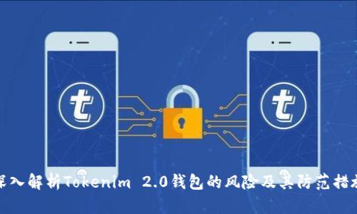 深入解析Tokenim 2.0钱包的风险及其防范措施