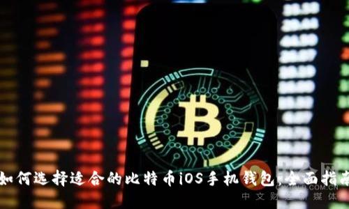 如何选择适合的比特币iOS手机钱包：全面指南