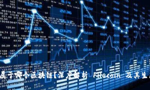 FIL币属于哪个区块链？深度解析 Filecoin 及其生态系统