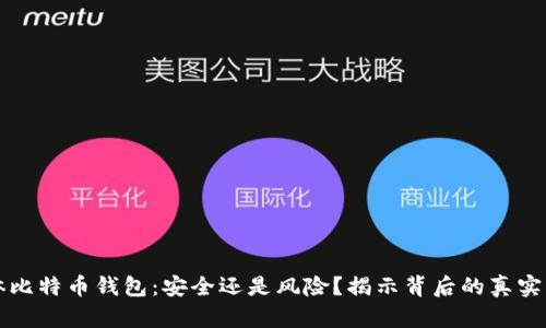 实体比特币钱包：安全还是风险？揭示背后的真实答案