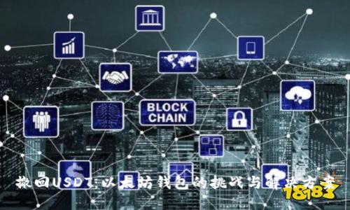 撤回USDT：以太坊钱包的挑战与解决方案