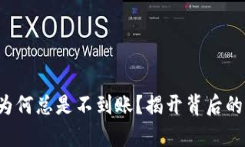 你的狗狗币钱包为何总是不到账？揭开背后的真相与解决方案！