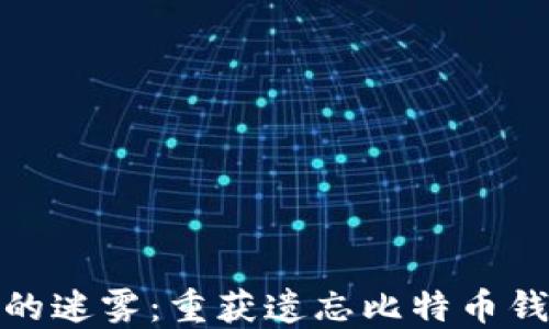 
打破密码的迷雾：重获遗忘比特币钱包的机会