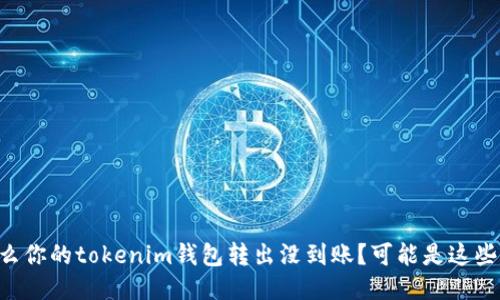 为什么你的tokenim钱包转出没到账？可能是这些原因！