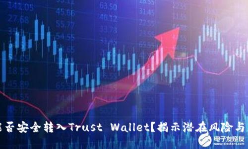 瑞波币能否安全转入Trust Wallet？揭示潜在风险与正确操作