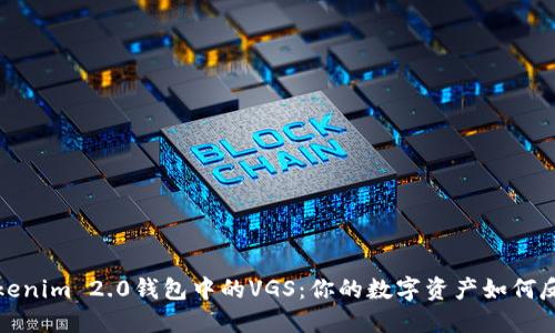 解锁Tokenim 2.0钱包中的VGS：你的数字资产如何反转局势