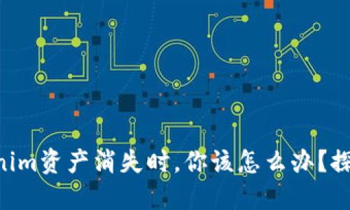 当你的Tokenim资产消失时，你该怎么办？探寻解决之道！