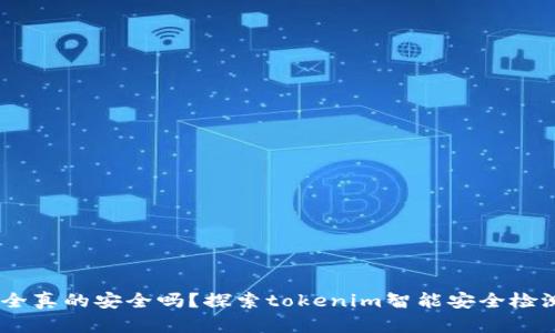 在数字时代，您的安全真的安全吗？探索tokenim智能安全检测的革命性解决方案