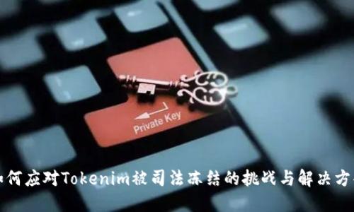 如何应对Tokenim被司法冻结的挑战与解决方案
