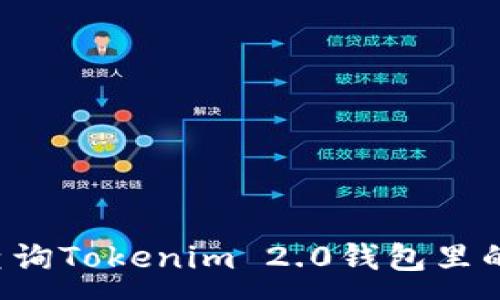 :
怎样查询Tokenim 2.0钱包里的FIL币