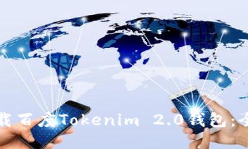 如何下载百度Tokenim 2.0钱包：全面指南