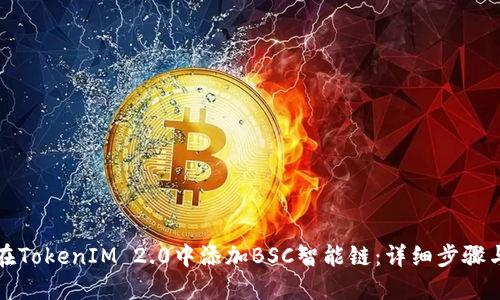 如何在TokenIM 2.0中添加BSC智能链：详细步骤与指南