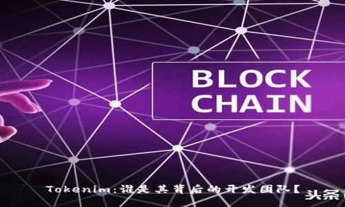 Tokenim：谁是其背后的开发团队？