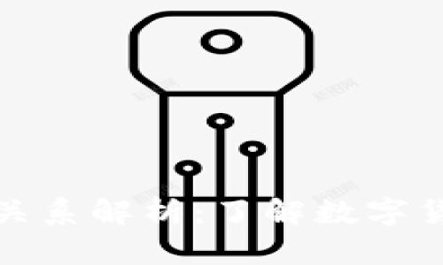 Plus钱包与比特币的关系解析：了解数字货币钱包的运作与价值